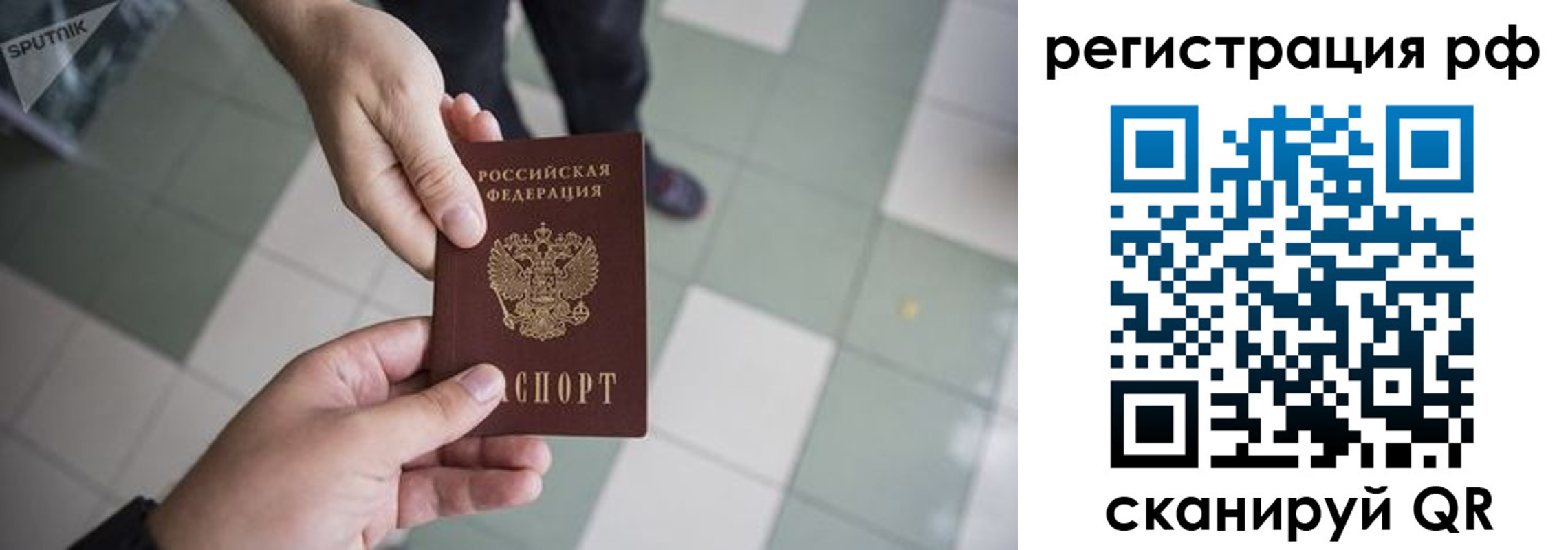 прописка гарантия в Гаджиево